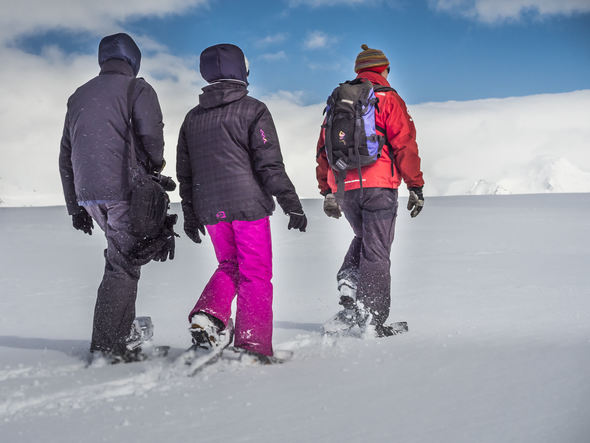 Included Snowshoeing in Antarctica