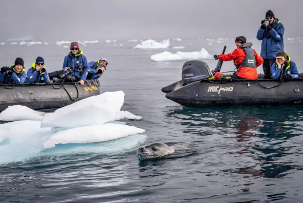 Zodiac rides with a fur seal